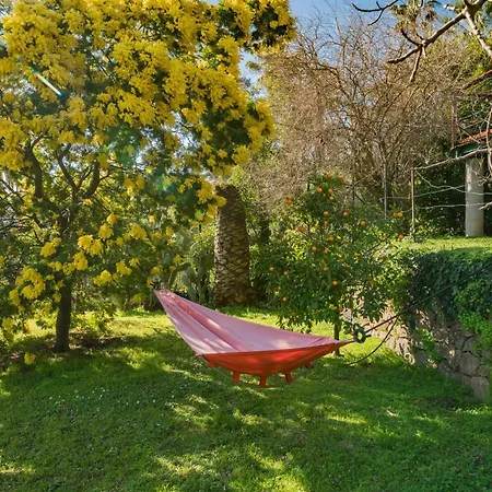 Four Bedroom House In Golfe Juan *